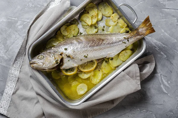 Corvina